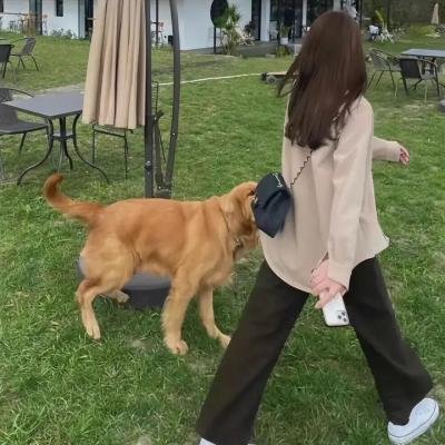 全家福